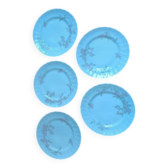 Set of 5 Limoges porcelain plates