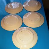 5 ironstone plates - colorful floral patterns, approx. 23cm in diameter.