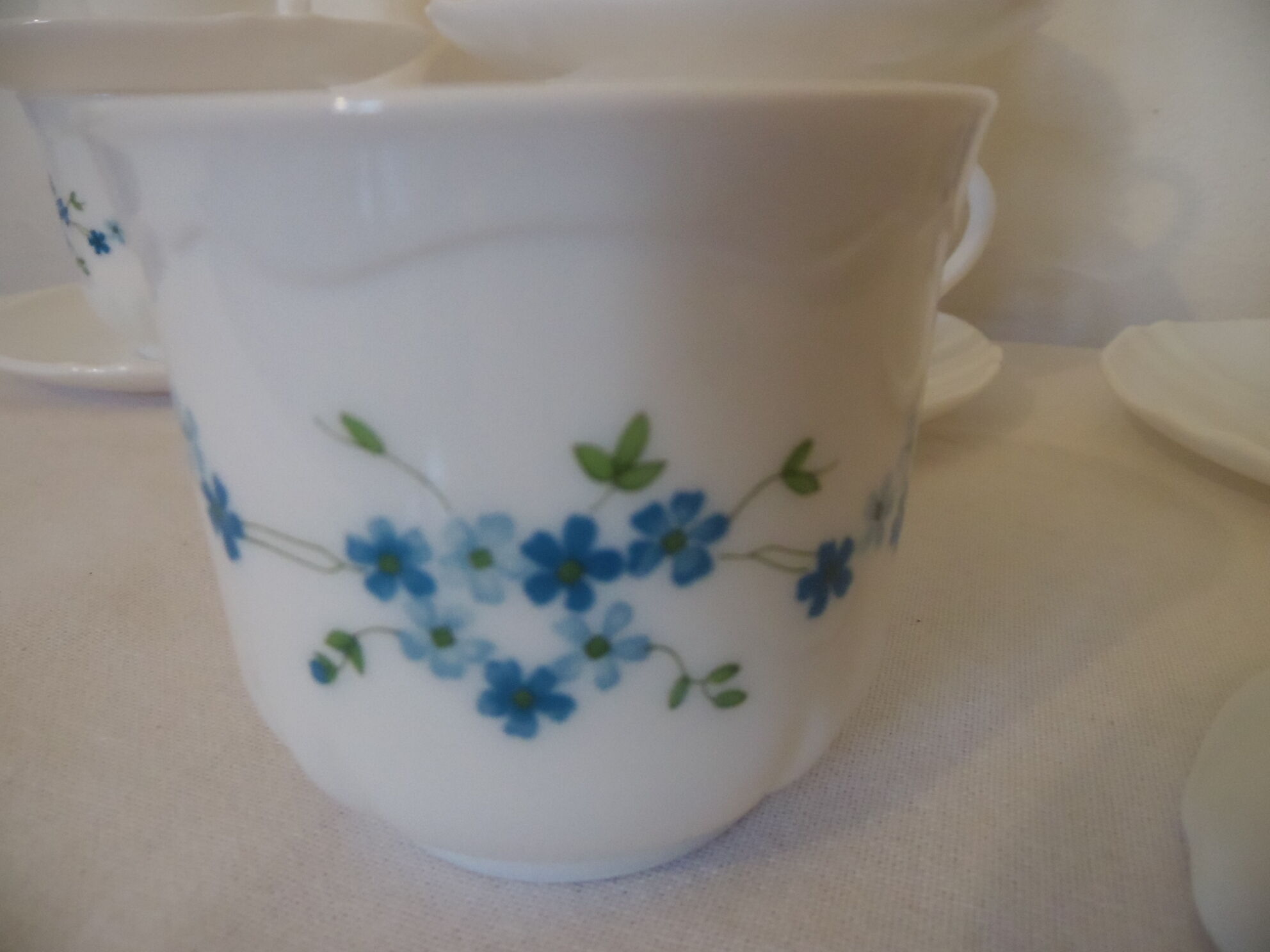 6 cups and saucers Arcopal Myosotis
