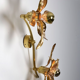Double wall lamp by Willy Daro in brass from Massive Lighting 1970
