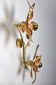Double wall lamp by Willy Daro in brass from Massive Lighting 1970