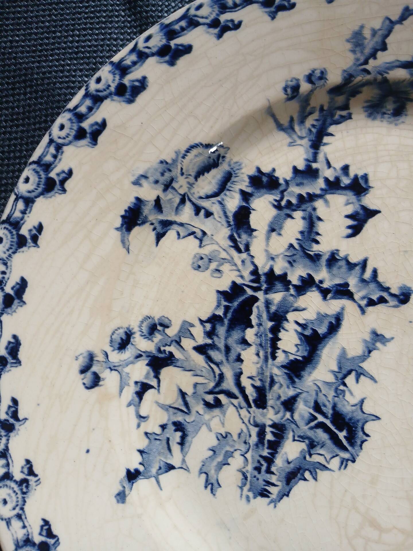 14 dinner plates + 2 "Chardons" dishes from Gien