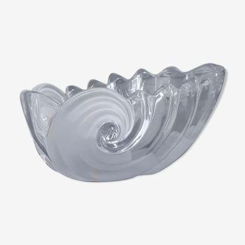 Glass cup shaped shell