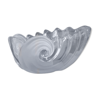 Glass cup shaped shell