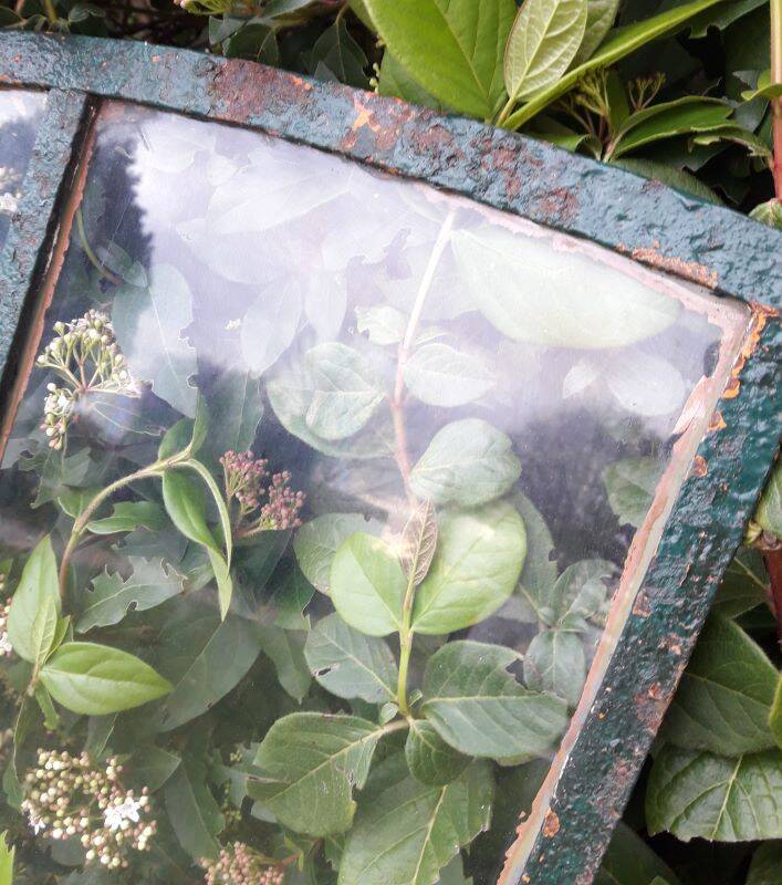 Industrial arched metal windows L73xH110 19th century glass roof