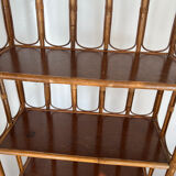 Vintage bamboo and rattan shelf/bookcase