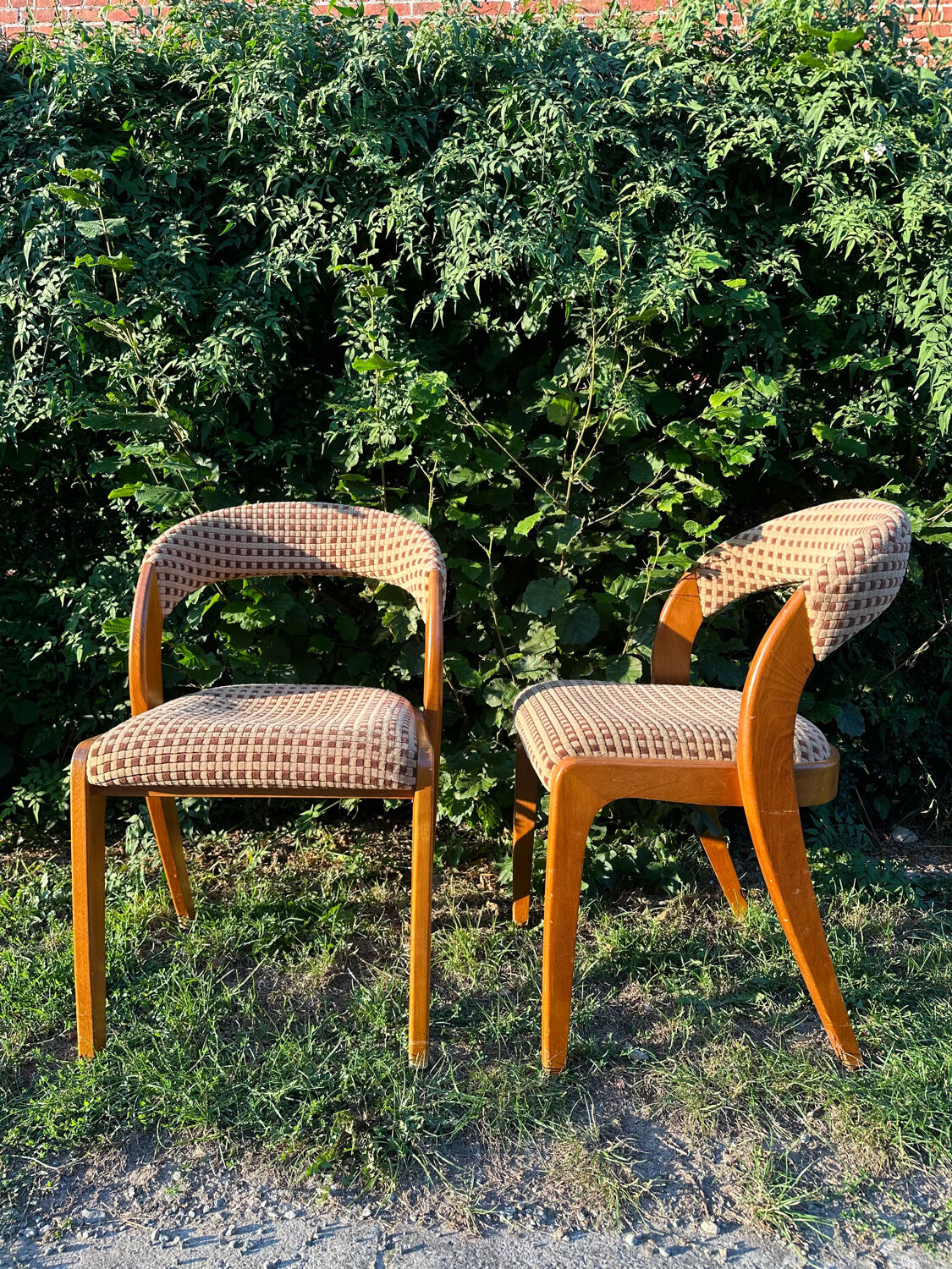 Pair of vintage designer chairs from the 50s/60s, Baumann style