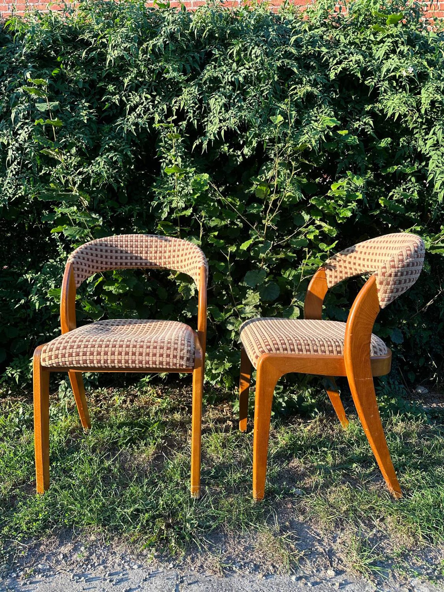 Paire de chaises vintage design années 50/60 style Baumann