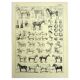 Old engraving 1928 - Horse by A. Millot - vintage equestrian print
