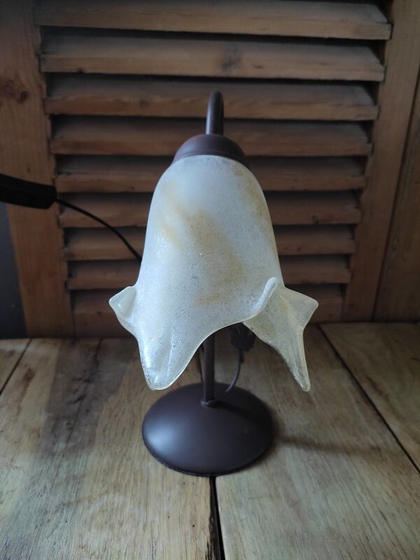 Bedside lamp Metal brown ivy tulip paste orange