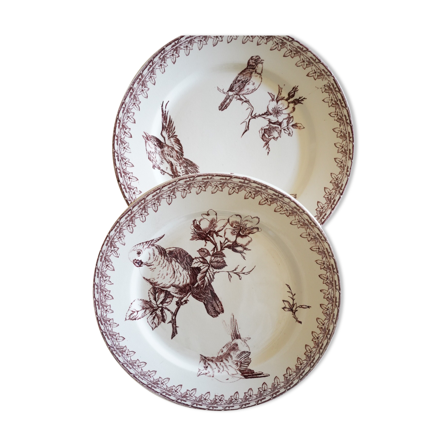 2 Old Dessert Plates "Buffon", iron earth, Sarreguemines