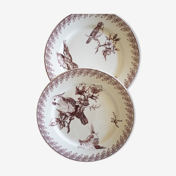 2 Old Dessert Plates "Buffon", iron earth, Sarreguemines