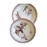 2 Old Dessert Plates "Buffon", iron earth, Sarreguemines