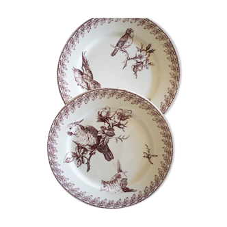 2 Old Dessert Plates "Buffon", iron earth, Sarreguemines