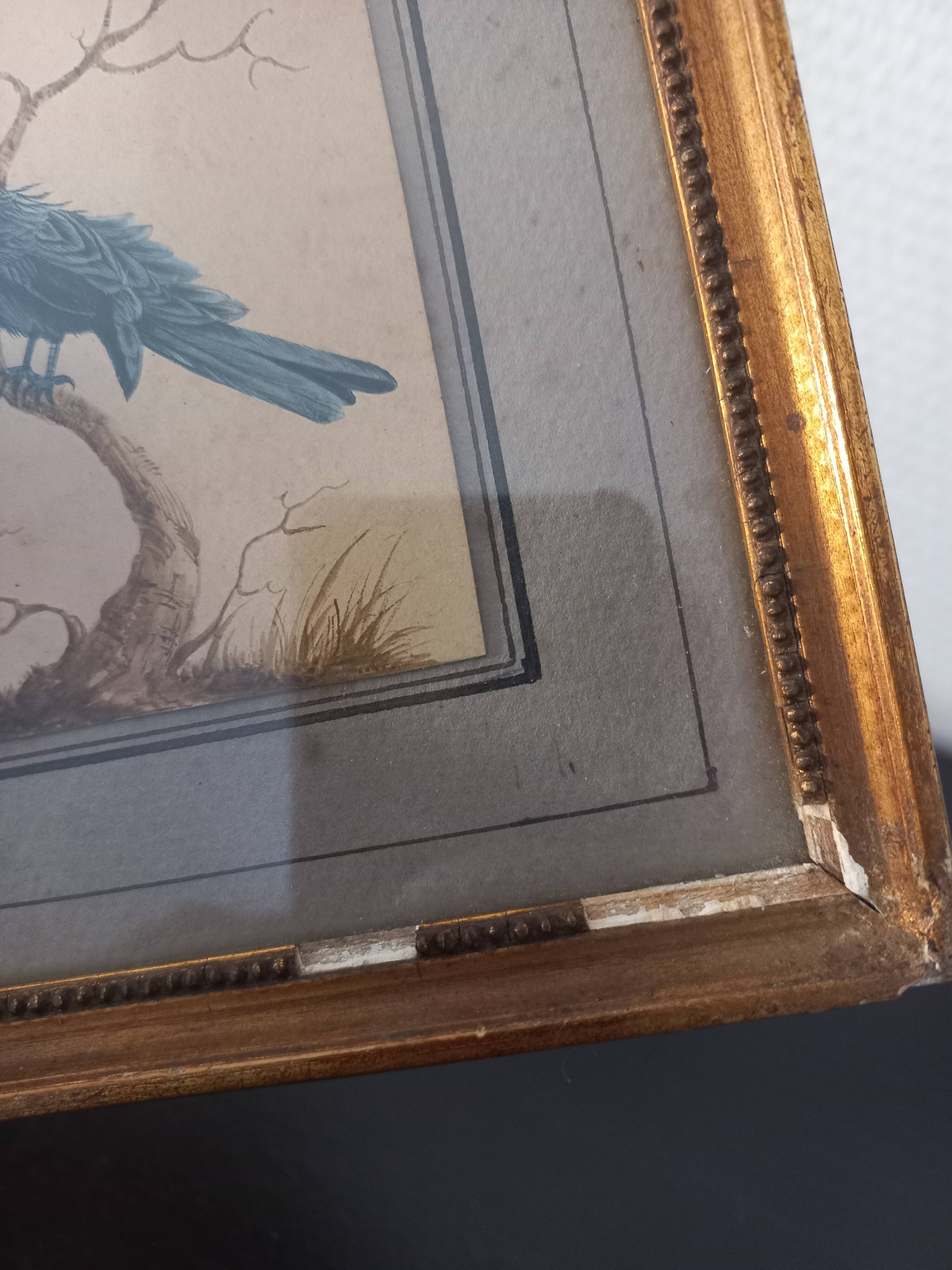 Golden table Blue birds Antique framed, Paris Gallery