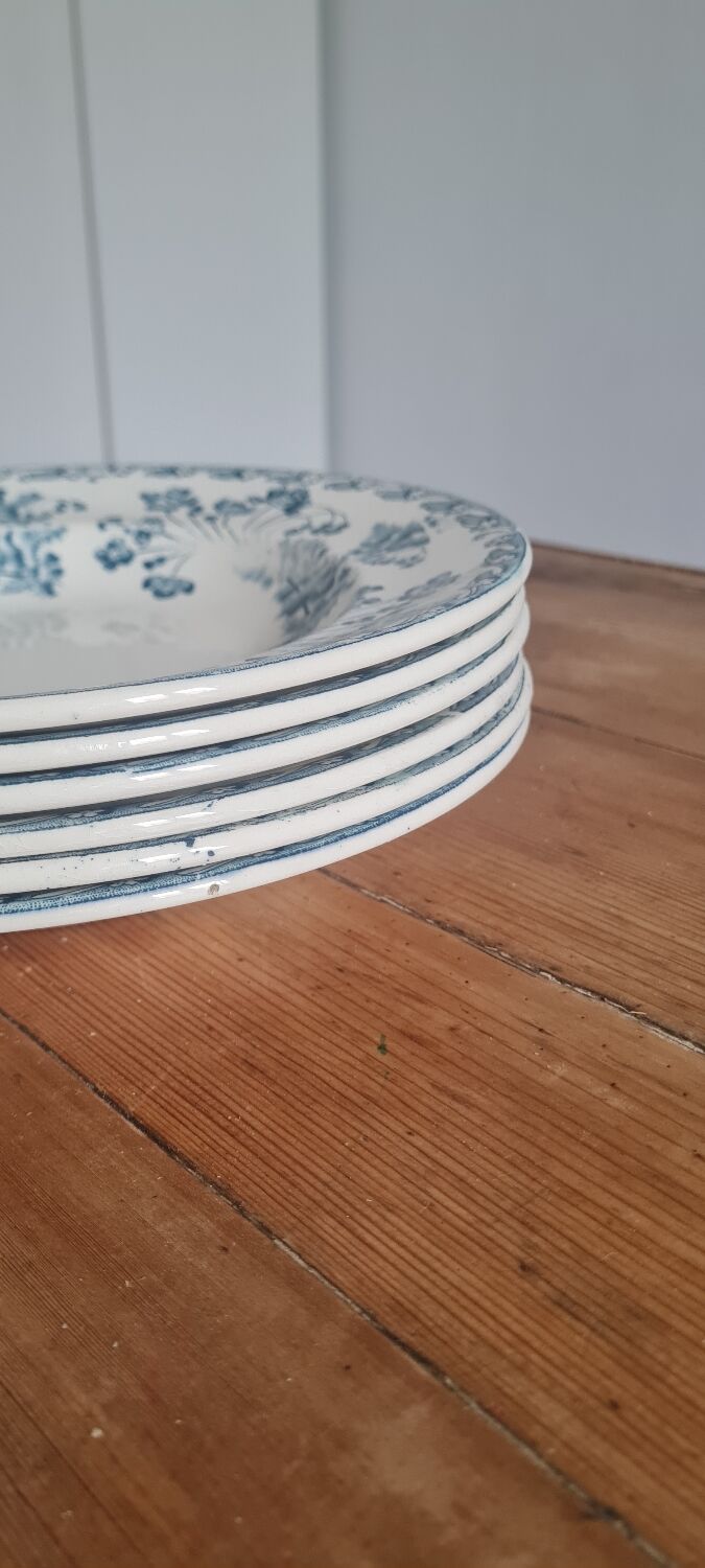 Service of 6 plates in iron earth