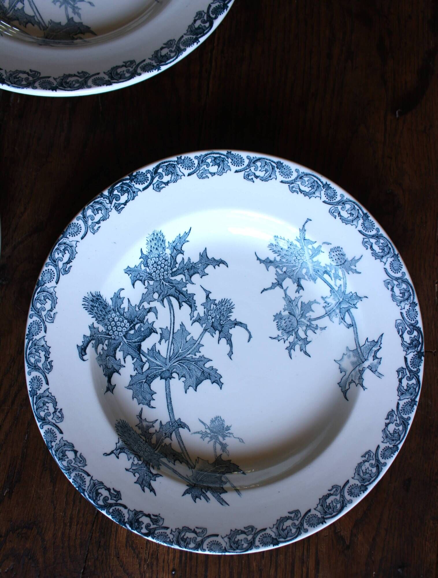 A set of 5 deep plates Chardon Bleu Terre de Fer Clairefontaine Righi