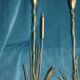 Pair of Golden Metal Lamps Reeds Work circa 1960 1970 Hollywood Regency