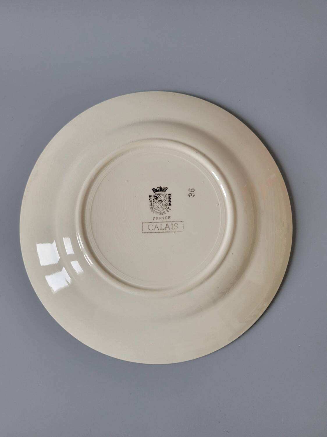 6 floral dinner plates