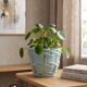 Saint-Clément cache-pot planter signed by Blanche Letalle model 4086-000
