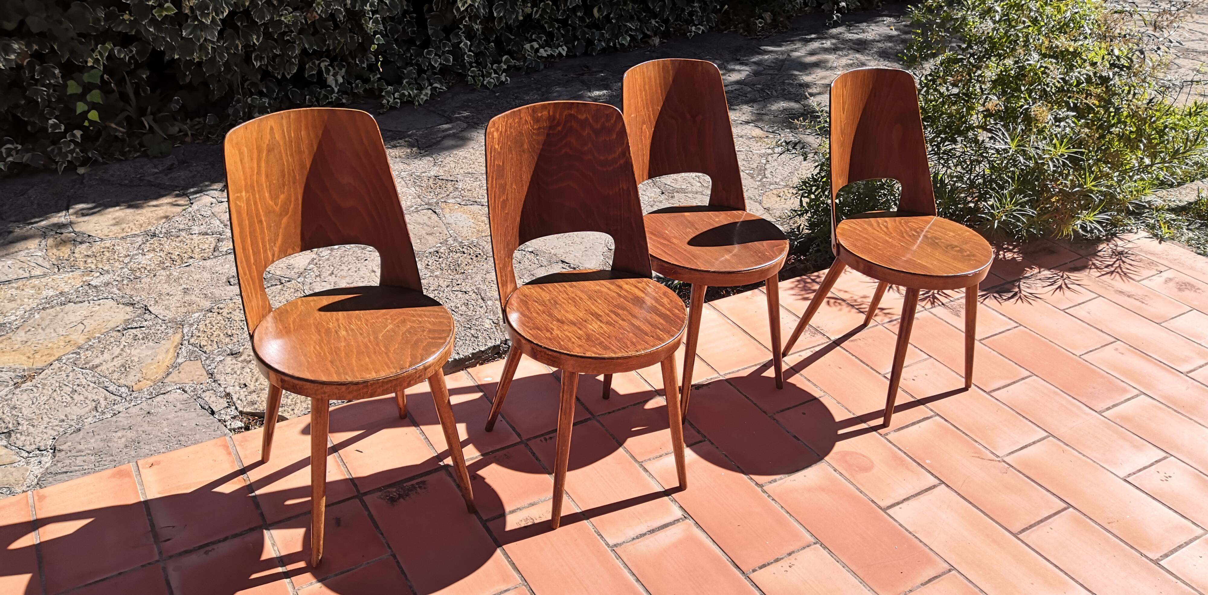 Vintage baumann mondor chairs 60