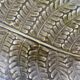 Ceramic fern dish Sarreguemines