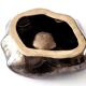 Empty ashtray Vallauris pocket