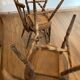 Tacoma chair by Baumann