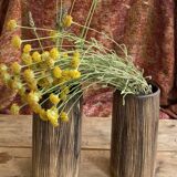 Six terracotta glasses, matt and glazed