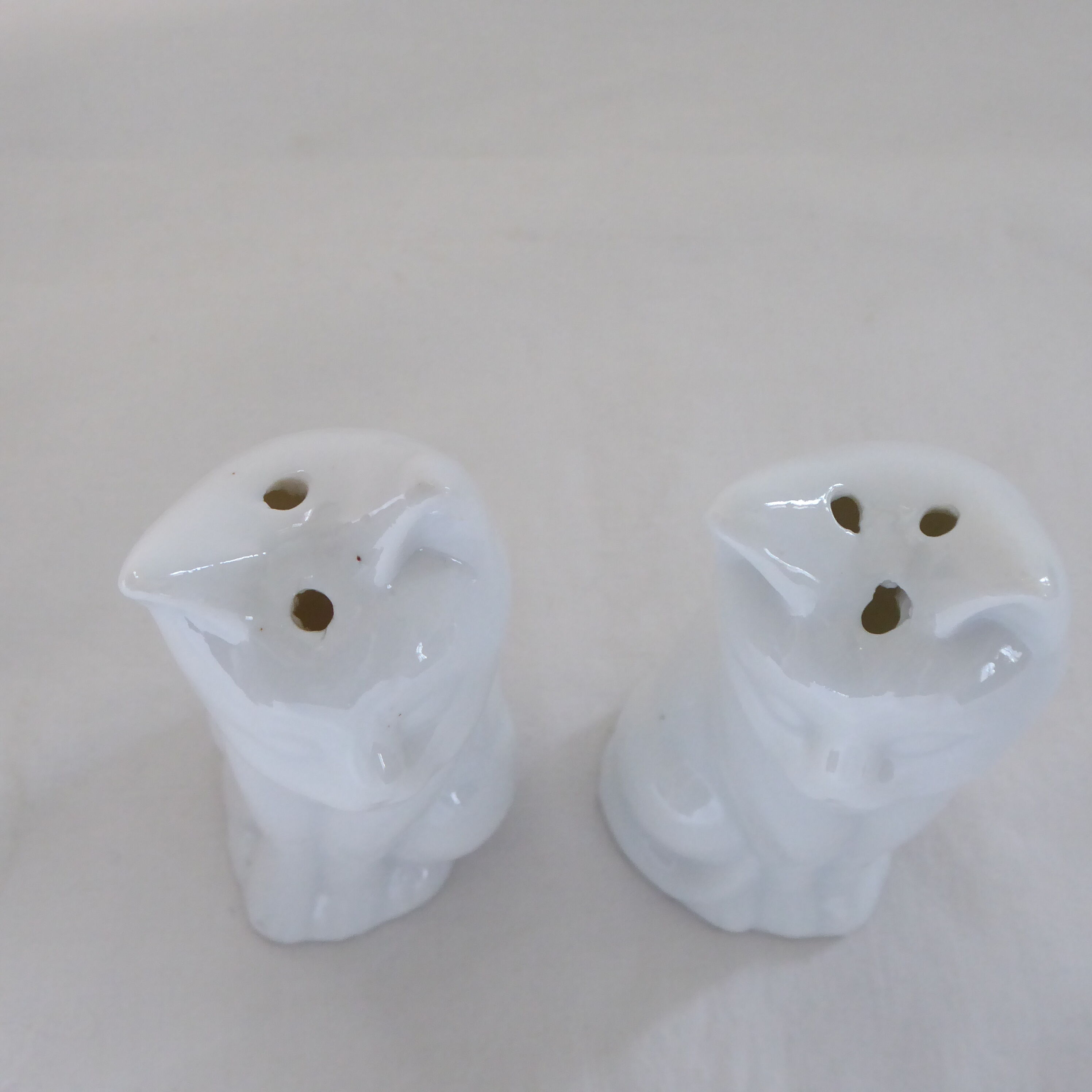 Salt and pepper shaker
