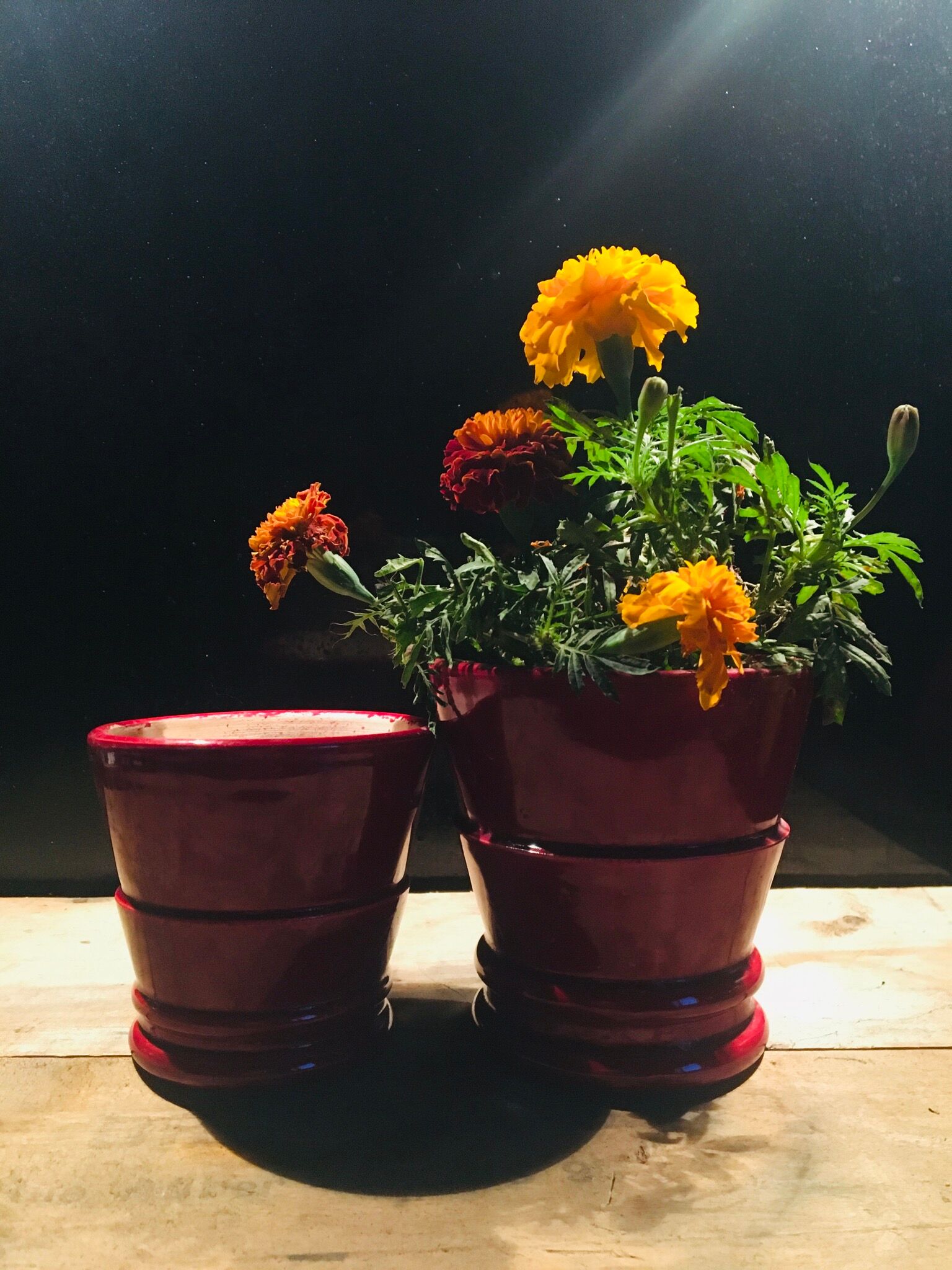 Enamelled terracotta flower pots, 1960s