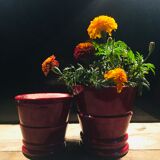 Enamelled terracotta flower pots, 1960s