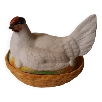 Poule colorée