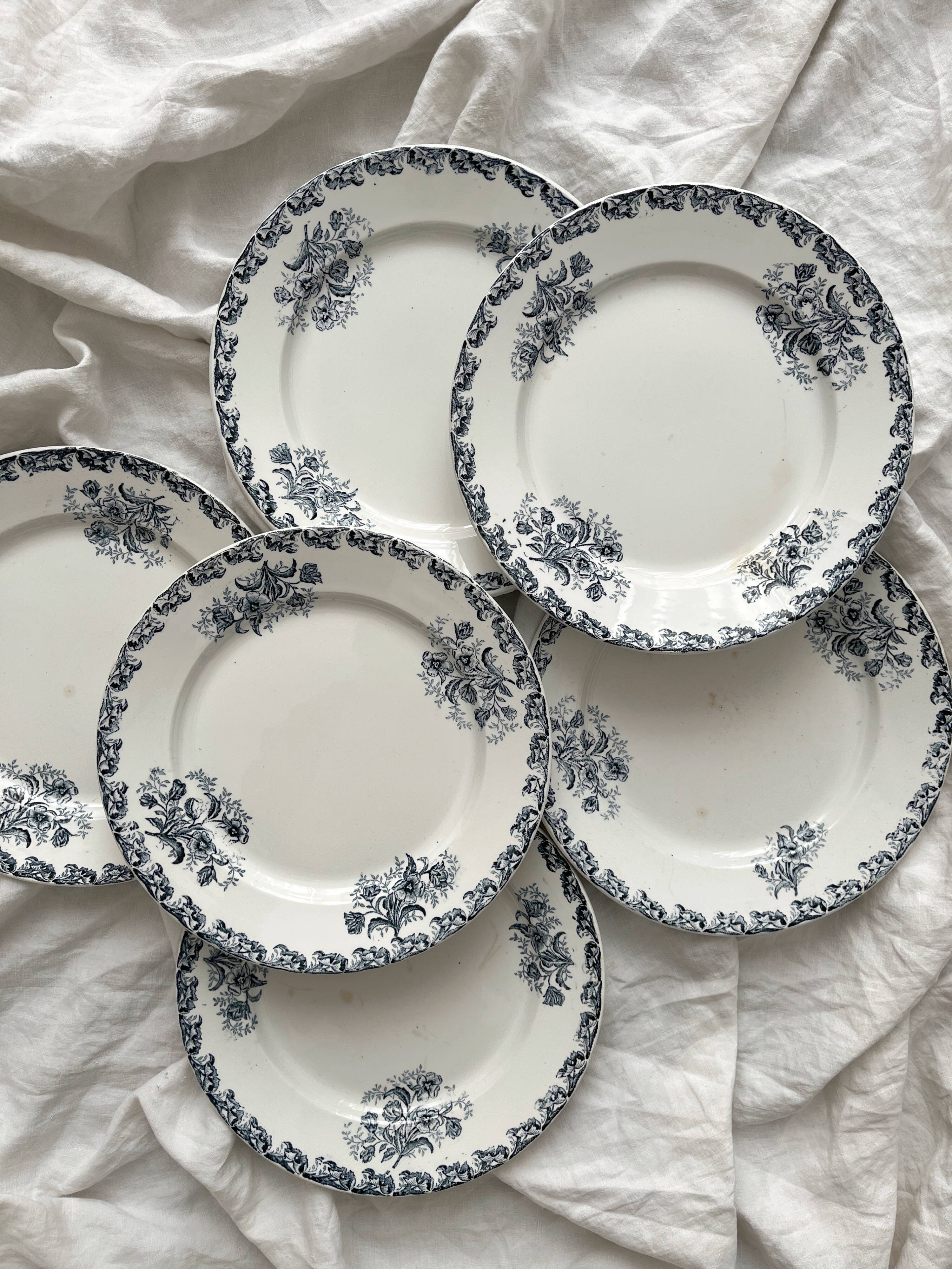 6 flat ironware plates "Albert" AG Clairefontaine