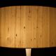 Eva Renée Nele, Temde "Tulip" Lamp