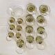Wine service and liqueur Alsace 30 Glasses - carafe