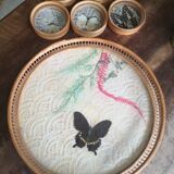 Butterfly top and coaster