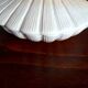 Ceramic shell 1960
