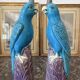 Rare pair of enamelled Chinese porcelain cockatoo parrots.