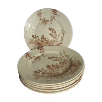 Lot de 6 assiettes plates, terre de fer de creil montereau: les chardonnerets
