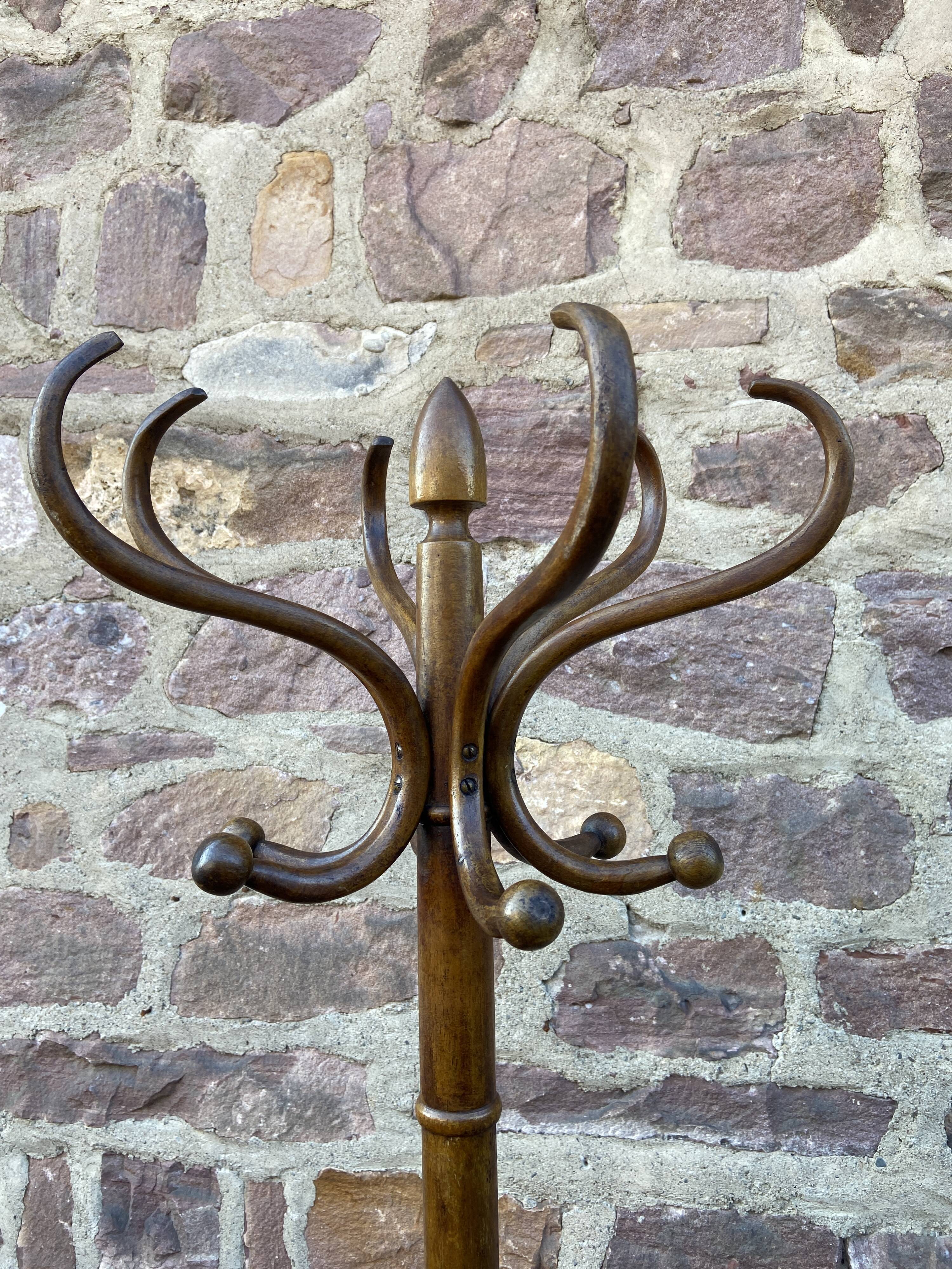 Bentwood coat rack