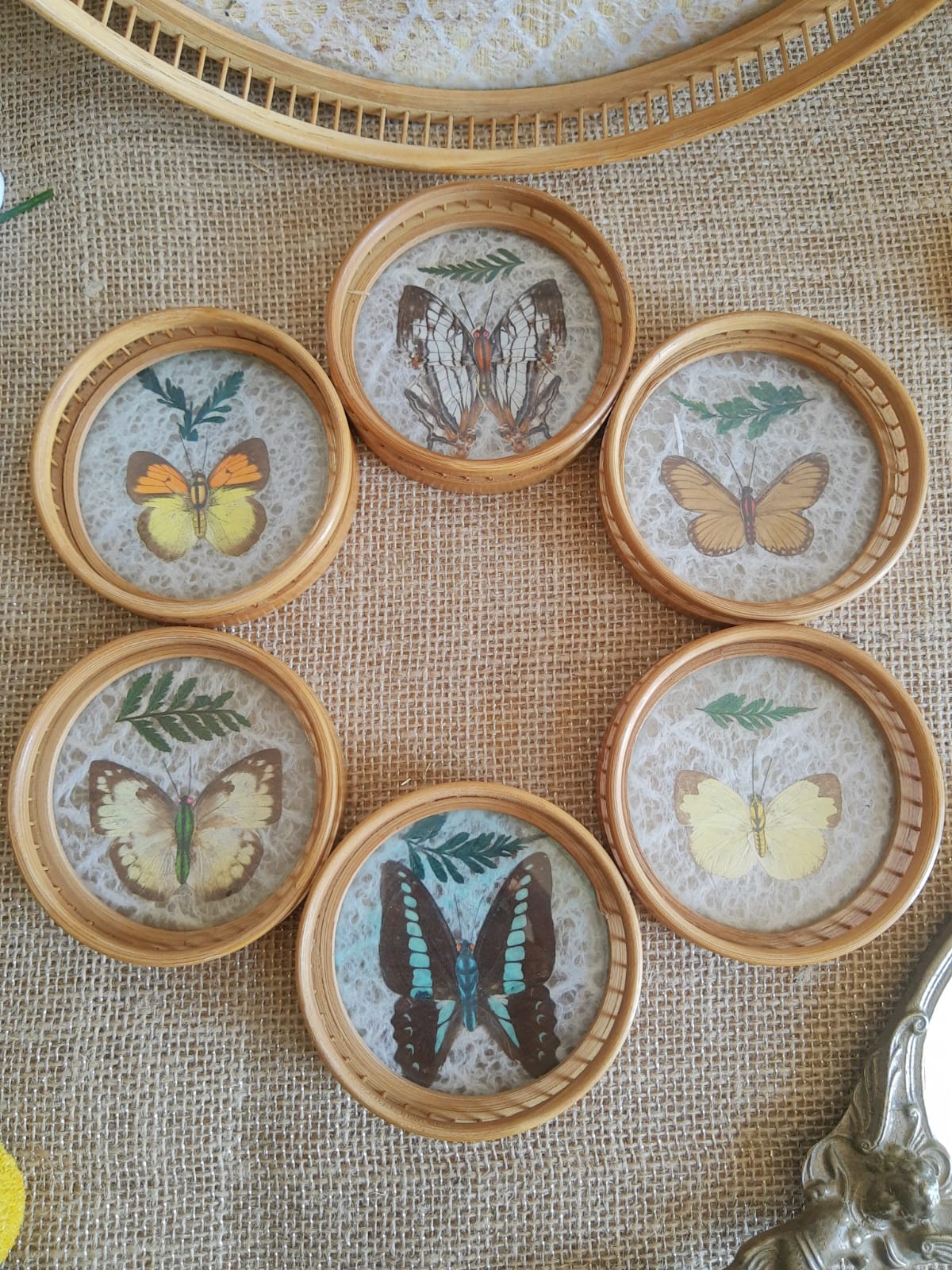 Set tray and 6 under glass bamboo vintage butterflies