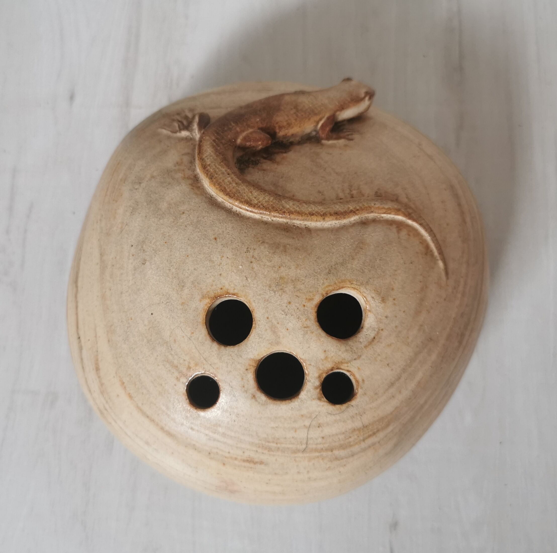 Pique flowers sandstone lizard