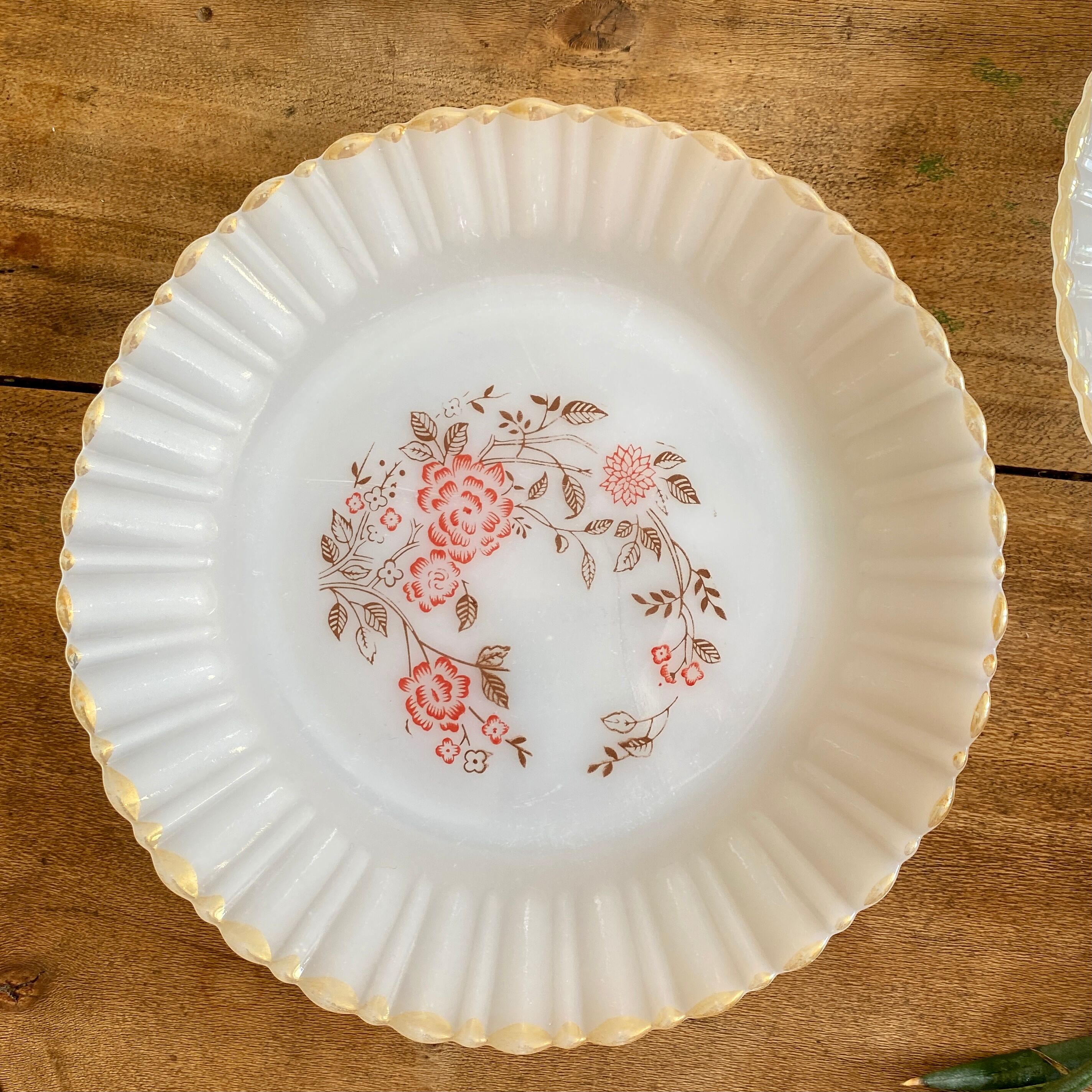 Lot de 6 assiettes à dessert vintage Termocrisa