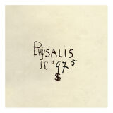 Ancient photograph of a branch of Physalis