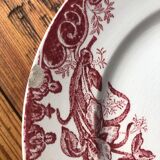 Set of 5 plates St Amandinoise model Iris