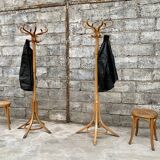 Baumann coatrack