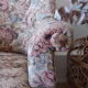 Toad armchair
