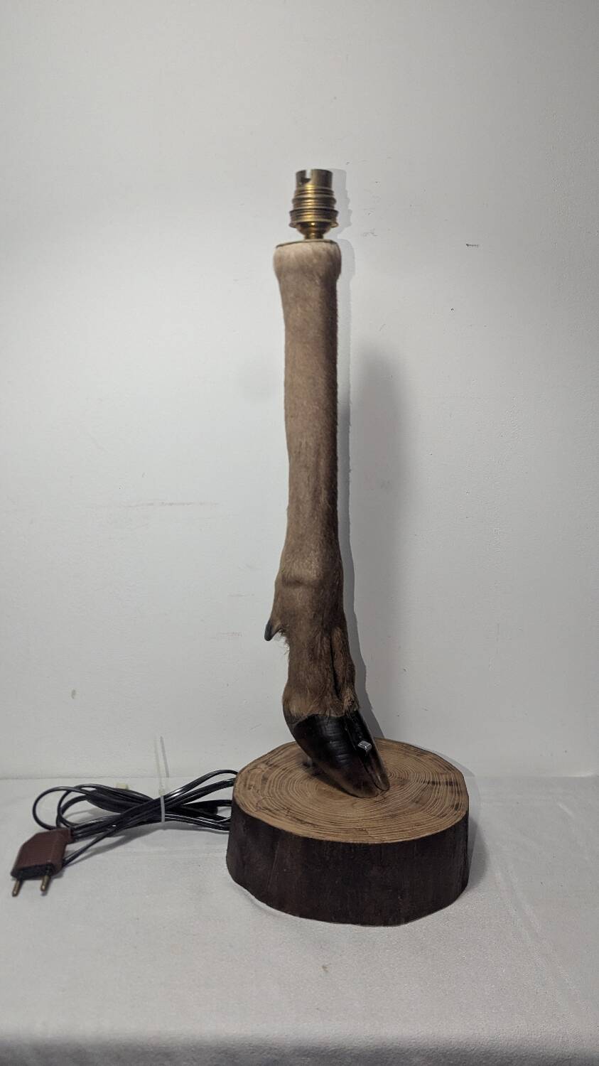 Hunting Lamp Base, Doe/Stag, Cabinet of Curiosities