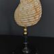 Cabinet of curiosities shell tonna luteostoma on base